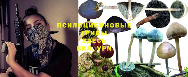 не бодяженный Абинск