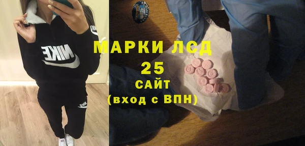 стаф Алексин