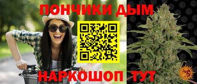 прущие грибы Рузаевка
