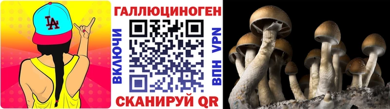 как найти закладки  Ухта  кракен как зайти  Псилоцибиновые грибы Magic Shrooms 