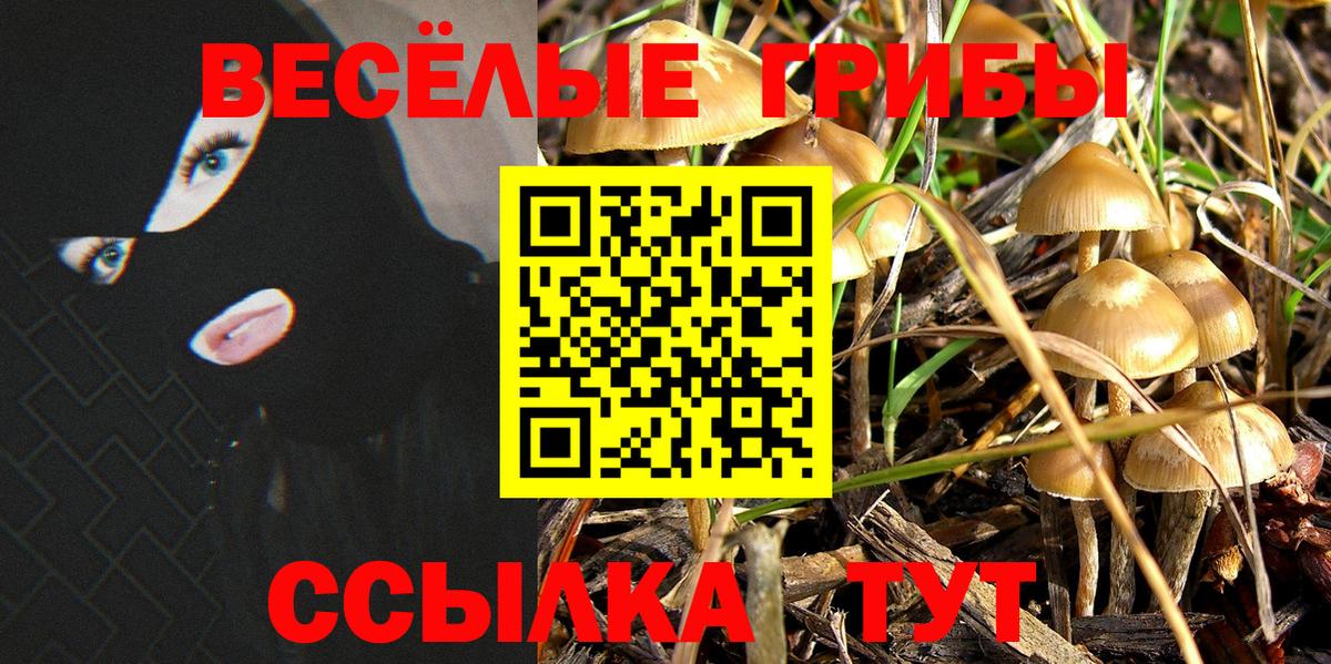 Галлюциногенные грибы мухоморы Ухта