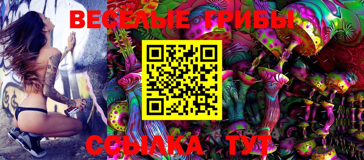 Ухта  Галлюциногенные грибы Psilocybe  Псилоцибиновые грибы MAGIC MUSHROOMS  Вход с VPN 